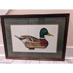 Arthur Nevin Art - Mallard Duck DRAKE DECOY. North BARNEGAT - Etched/Signed
